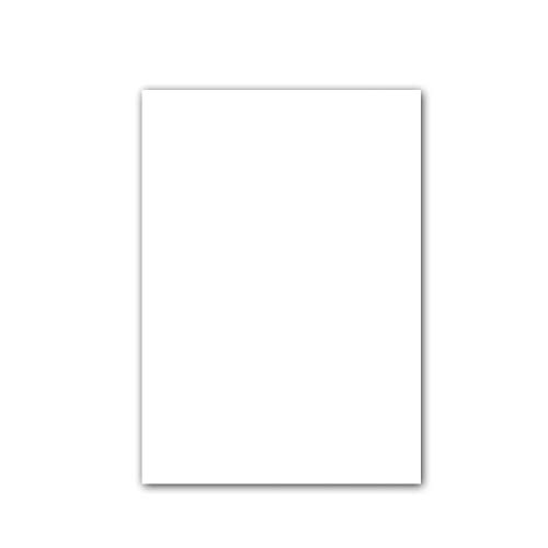 Tianjintang Blank No Grids Chinese Painting Calligraphy Sumi Ink Half Raw XuanRice Paper Sheets for Beginners 100 Sheets 29.7 cm x 21 cm