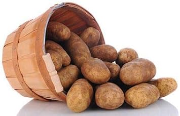 Simply SeedTM - Russet Burbanks - Naturally Grown Seed Potatoes - 5 LBS - Whole Potatoes- American Raised