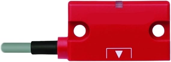 Read Head CES-A-LNN-10V 113294, Cable 10m, Safe Switch