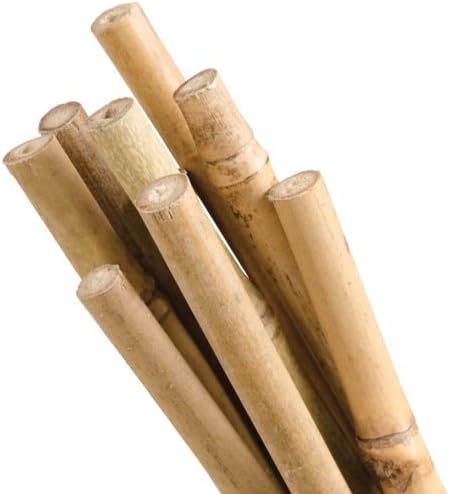 Natural First-Cut Bamboo Stakes, Pack of 10 (Approx. 7/16 Inch x 6 Feet)