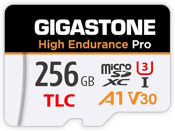 GIGASTONE 256GB microSDXC Card High Endurance Pro up to 100/60MB/s Compatible with Redtiger Rove VIOFO VANTRUE PRUVEEO ARIFAYZ UHS-I A1 V30 U3 Dash Cams