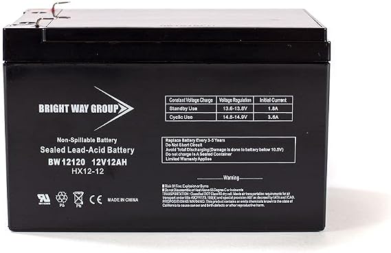 Bright Way Replacement Battery for Fiamm FG21202 12V 12AH F2 UPS