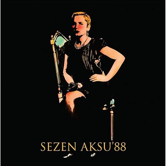 GEREKSİZ ŞEYLER Sezen Aksu 88 Plak