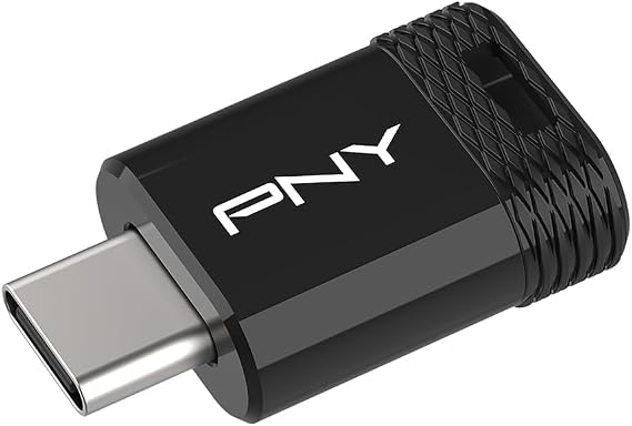PNY 256GB Elite-X Fit Type-C USB 3.2 Flash Drive