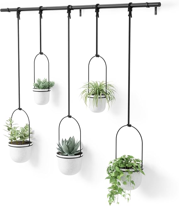 Umbra Triflora Hanging Planter, Window Herb Garden, Set of 5, White/Black