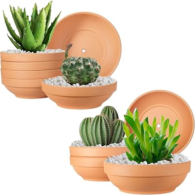 Laergin Terra Cotta Plant Pots Bundle: 6-Pack Small 6.43 & 4-Pack Large 7.67 Clay Pots with Drainage Holes for IndoorOutdoor Plants