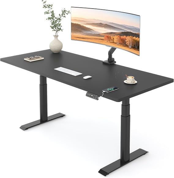 FLEXISPOT E6 Pro Dual Motor Electric Standing Desk, Organic Modern Oval Leg Design, 3-Stage Height Adjustable Sit Stand Desk with Heavy Duty 330lbs, 48" x 30" Black Desktop, Black Frame