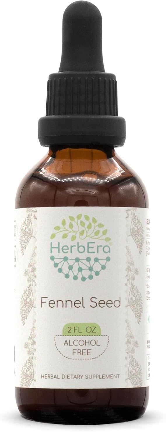 HerbEra Fennel Seed B60 Alcohol-Free Herbal Extract Tincture, Concentrated Liquid Drops Natural Fennel (Foeniculum vulgare) Dried Seed (2 fl oz)