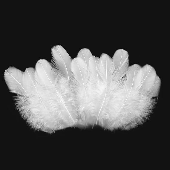 500pcs-White Rooster Feathers 3-5inch Bulk Feathers for Crafts DIY Dream Catcher Supplies(500pcs)