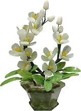 Artificial Plants Artificial Plants Fake Bonsai Tree Jade Orchid Bonsai Artificial Bonsai Desktop Display, Zen Garden Decor Indoor Plant for Home Office Decor Fake Plants Bonsai Tree