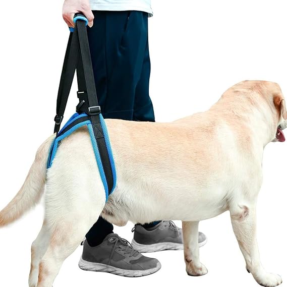 Dog Lift Support Harness - Dog Lift Harness for Back Legs Weak Rear Legs, Adjustable Dogs Back Leg Hind Leg Hip Support Harness for Senior Dogs with Joint Injuries or Disabilities