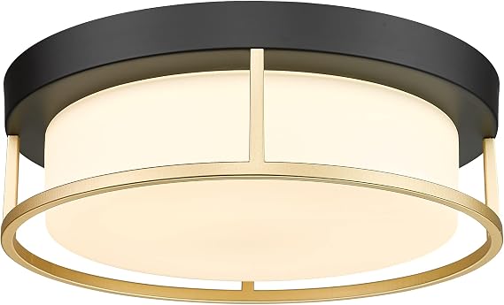 12 inch Flush Mount LED Ceiling Light Fixture Round, 24W Dimmable