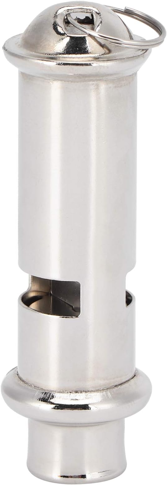 Pigeons Whistle, Silver Training Whistle, with Lanyard Mini Portable Anti for Pigeons for Young Pigeons for Bird for Homing Pigeon