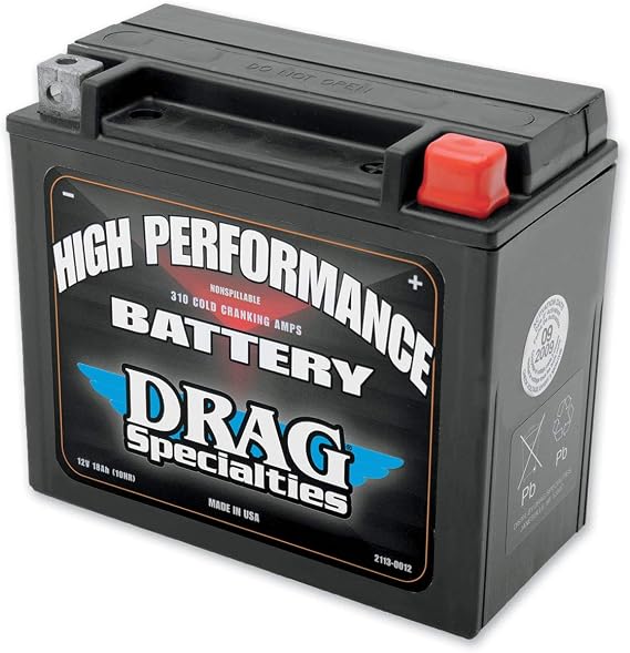Twin Power High Performance Maintenance Free Battery