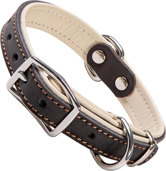 ADITYNA Black Leather Dog Collar for Small Dogs, Padded, Adjustable 10-14"