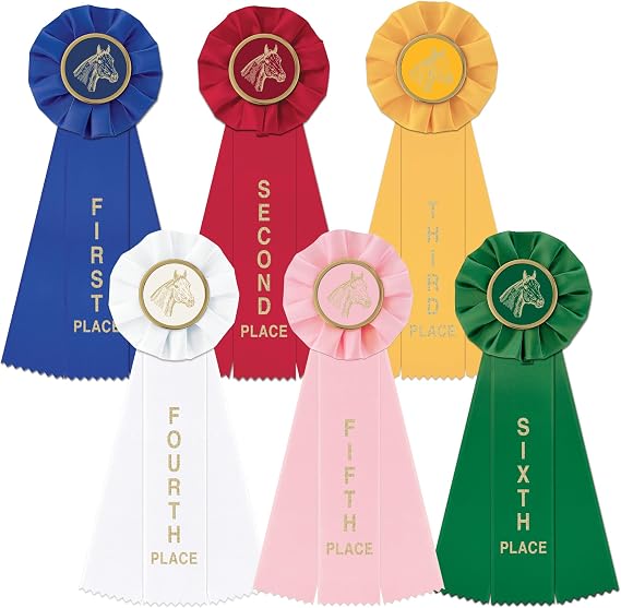 Hodges Badge Company Equestrian Rosette Award Ribbon Set - 1st- 6th - Made in USA