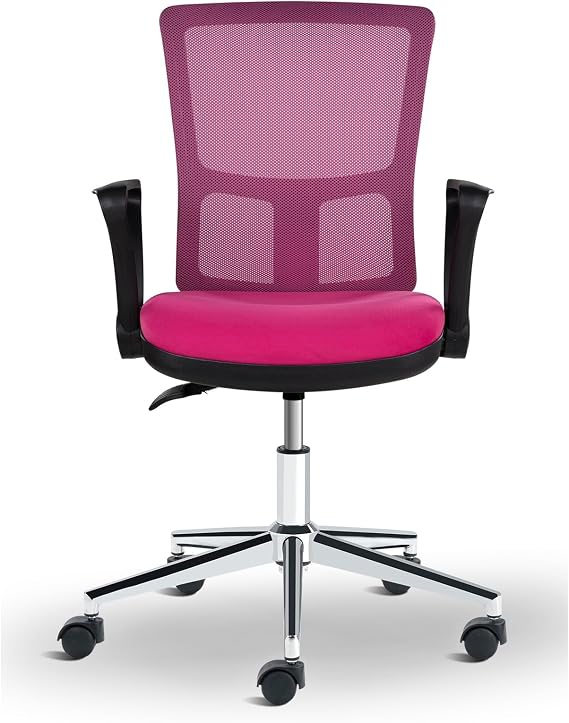 Vega Metal Ayaklı Çalışma Koltuğu Personel Koltuğu (Pembe)