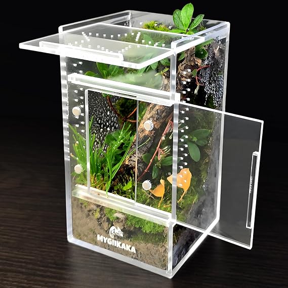 MYGIIKAKA Jumping Spider Enclosure Accessories, Tarantula Spider Box, Bug Cage, Praying Mantis Habitat Enclosure, Snail Insect Terrarium, Caterpillar Habitat