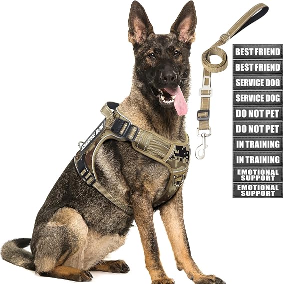 Tactical Dog Harness and Leash Set with 10 Patches for Large Dogs | Heavy Duty No Pull Service Animal Dog Vest with Dog Seat Belt ,Adjustable Reflective Easy Walk for Training Hiking Camo L