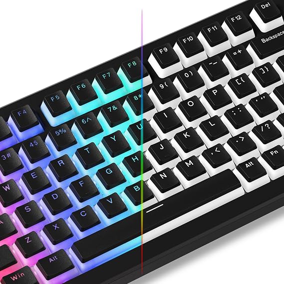 Womier Pudding Keycaps, Black PBT Shine Through Keycaps