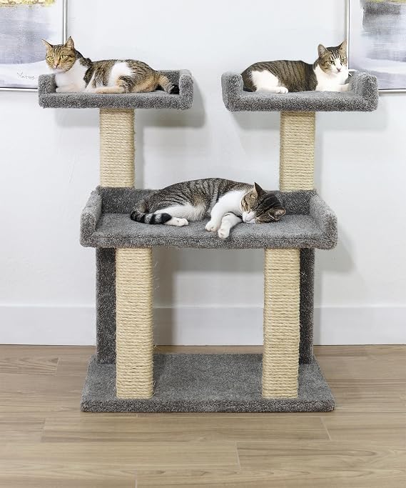 Maine Coon Deluxe Cat Perch