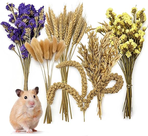 Natural Hamster Flower & Herb Habitat Deocr, Edible Hamster Sprays Flowers Bedding Mate, Hamsters Cage Enrichment Decoration Accessories for Gerbil Dwarf Syrian Hamsters Guinea Pig Mice