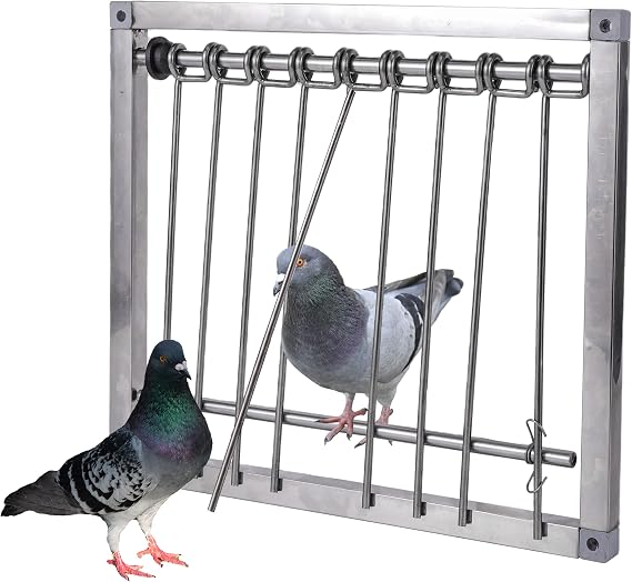 Stainless Steel Pigeon Trap Door, Pigeon Door, 29 X 26 cm